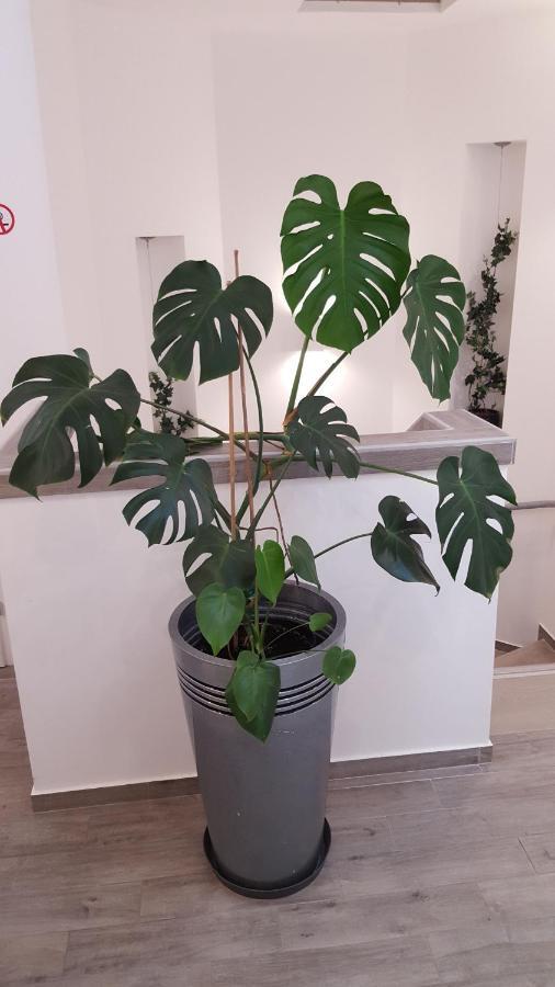 Centar Vodice Apartmani Ngoại thất bức ảnh